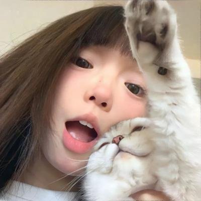 向政府说不